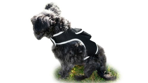 GPS Pet Tracking Device Rechargeable Collar Mount Portable Dog Tracker Size:S