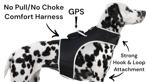 Pet Tracker Waterproof Collar Rechargeable GPS Locator - Best Dog Tracker Size:S