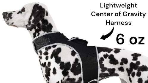 Monitor Pets with Pet Tracker Rechargeable Dog Collar GPS Tracking Device Size:S