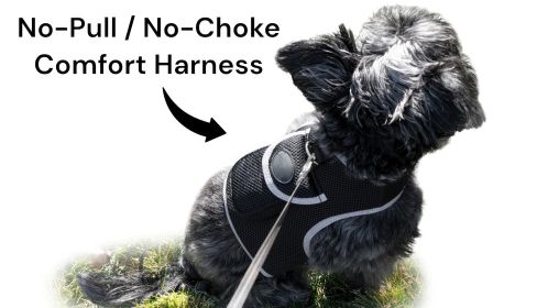 Waterproof Pet GPS Locator Device Rechargeable Dog/Cat Collar Tracker Size:S