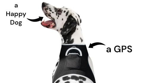 Rechargeable Mini GSM GPS Realtime Dog Tracking Collar Mounted Tracker Size:S